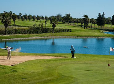 Salgados Golfe