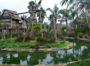 Zoo Lagos